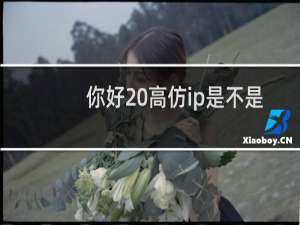 你好 高仿ip是不是国外国内丢包现象 打不开