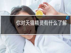 你对天猫精灵有什么了解