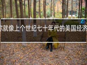 你就像上个世纪七十年代的美国经济什么梗