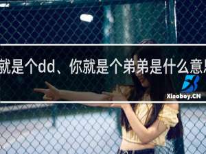 你就是个dd、你就是个弟弟是什么意思什么梗