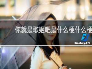 你就是歌姬吧是什么梗什么梗
