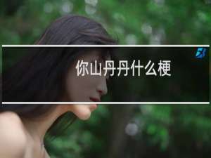 你山丹丹什么梗