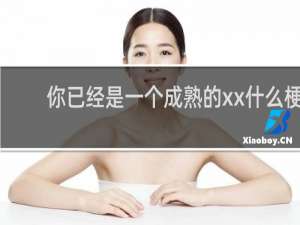 你已经是一个成熟的xx什么梗