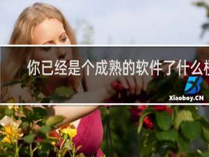 你已经是个成熟的软件了什么梗，你已经是个成熟的软件了是什么意思？什么梗