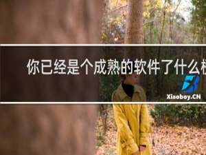 你已经是个成熟的软件了什么梗？什么梗