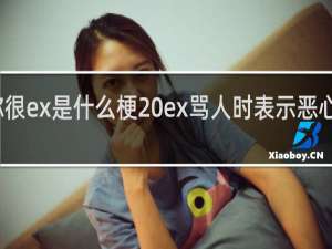 你很ex是什么梗 ex骂人时表示恶心什么梗