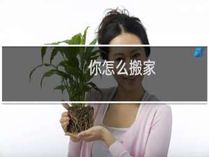 你怎么搬家
