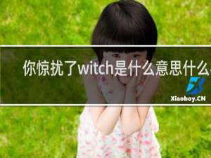 你惊扰了witch是什么意思什么梗