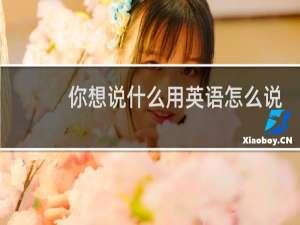 你想说什么用英语怎么说
