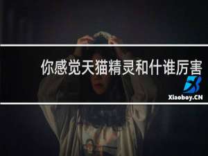 你感觉天猫精灵和什谁厉害