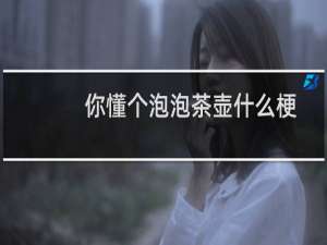 你懂个泡泡茶壶什么梗