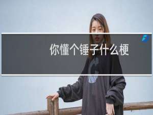 你懂个锤子什么梗