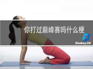 你打过巅峰赛吗什么梗