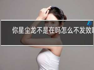 你星尘龙不是在吗怎么不发效啊.png什么梗