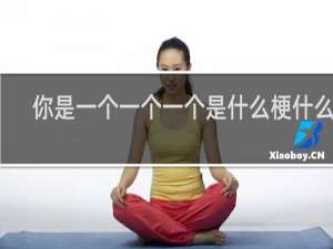 你是一个一个一个是什么梗什么梗