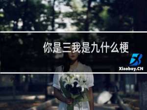 你是三我是九什么梗？你是三我是九是什么意思什么梗
