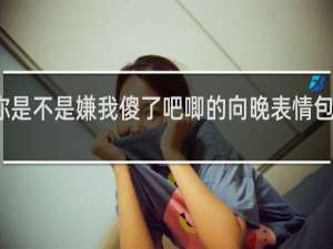你是不是嫌我傻了吧唧的向晚表情包什么梗