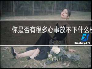 你是否有很多心事放不下什么梗
