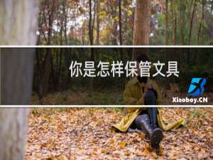 你是怎样保管文具