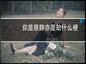 你是恩静亦是劫什么梗