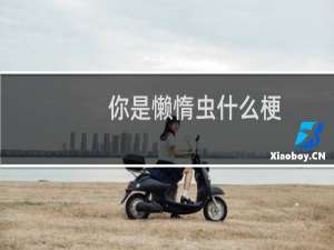 你是懒惰虫什么梗