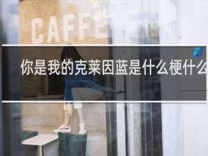 你是我的克莱因蓝是什么梗什么梗