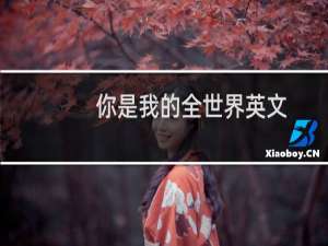 你是我的全世界英文