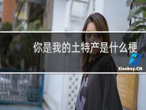 你是我的土特产是什么梗