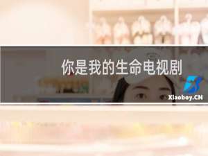 你是我的生命电视剧