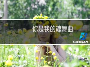 你是我的魂舞曲