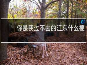 你是我过不去的江东什么梗？你是我过不去的江东是什么意思什么梗