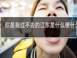 你是我过不去的江东是什么梗什么梗