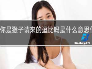你是猴子请来的逗比吗是什么意思什么梗