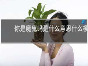 你是魔鬼吗是什么意思什么梗