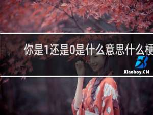 你是1还是0是什么意思什么梗