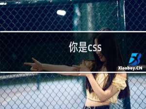 你是css