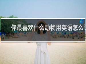 你最喜欢什么动物用英语怎么说