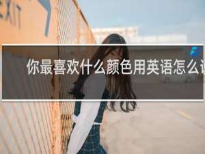 你最喜欢什么颜色用英语怎么说