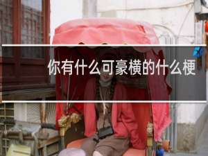 你有什么可豪横的什么梗