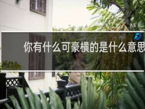 你有什么可豪横的是什么意思，是谁说的什么梗