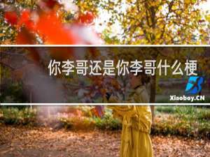 你李哥还是你李哥什么梗