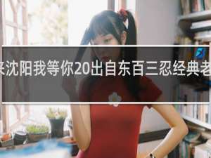 你来沈阳我等你 出自东百三忍经典老番什么梗
