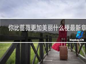 你比蔷薇更加美丽什么梗最新章节