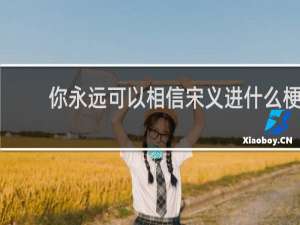 你永远可以相信宋义进什么梗