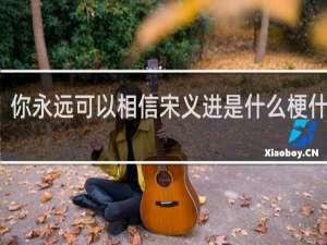 你永远可以相信宋义进是什么梗什么梗