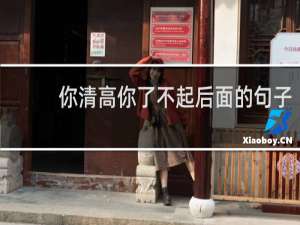 你清高你了不起后面的句子（原版台词）什么梗