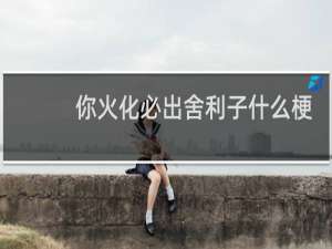 你火化必出舍利子什么梗