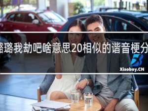 你璐璐我劫吧啥意思 相似的谐音梗分享什么梗