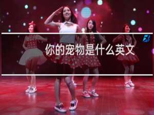 你的宠物是什么英文