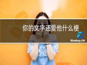 你的文字还爱他什么梗